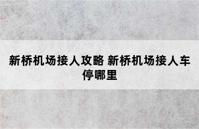 新桥机场接人攻略 新桥机场接人车停哪里